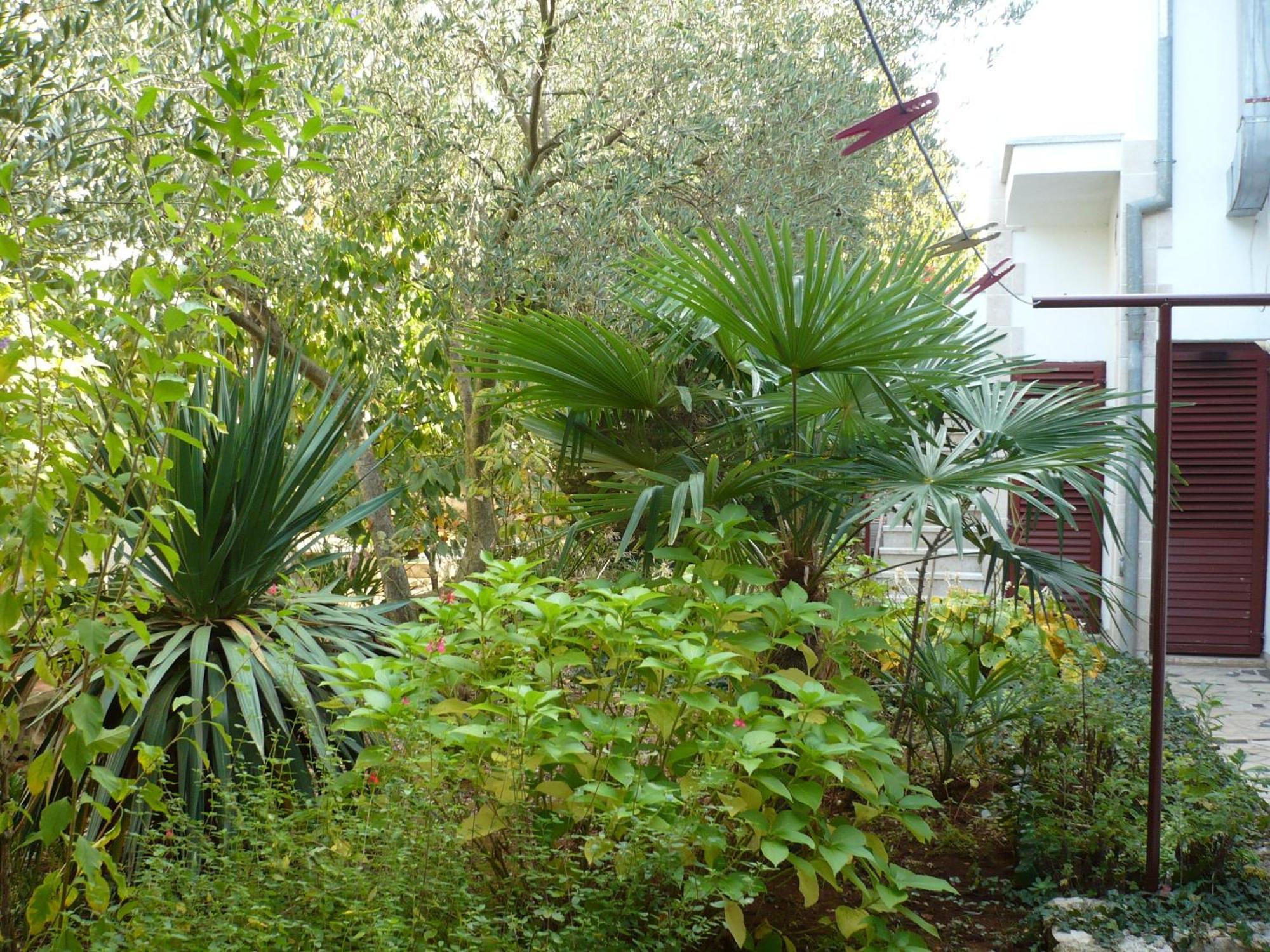 Apartments Finida Porec Bagian luar foto